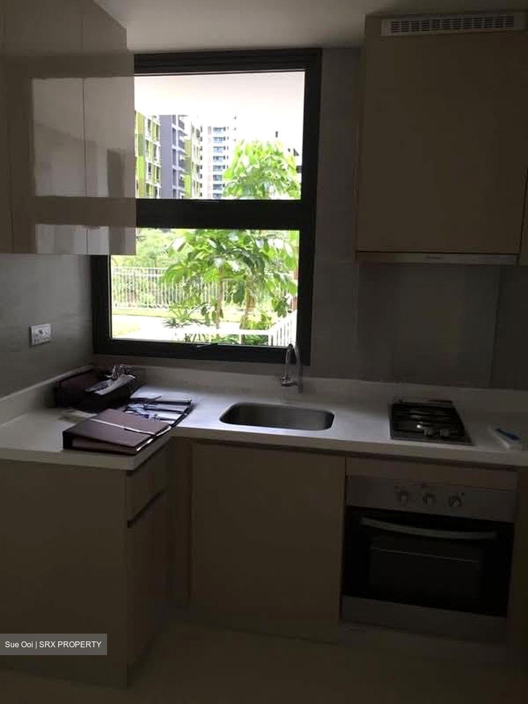 Blossom Residences (D23), Condominium #535756281